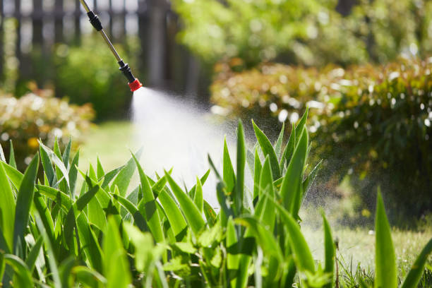 Tamper-Resistant Bait Stations for Rodents in Gifford